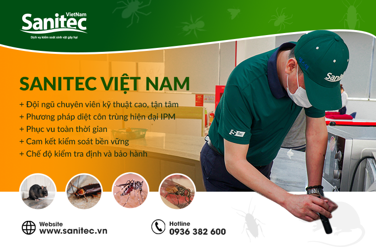 dich-vu-sanitec-viet-nam